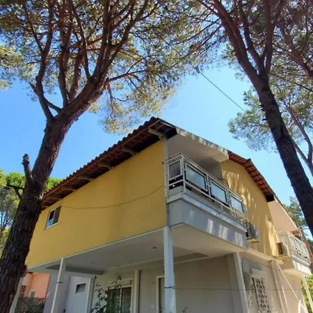 Vila 56