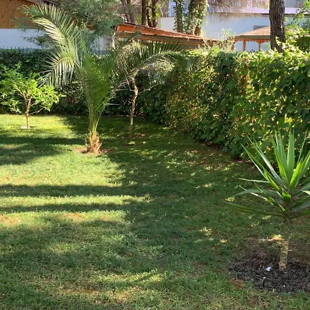 Vila 56 Holiday home Golem (Tirana)
