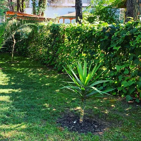 Vila 56 *